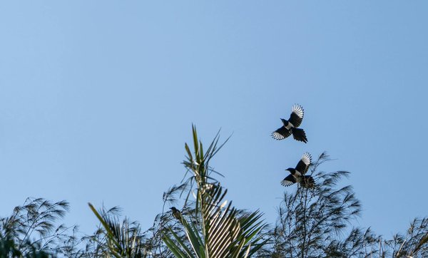 L'insuffisance rénale chez les personnes âgées : identification et gestion